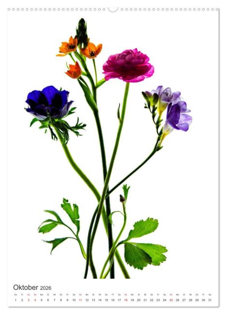additionalImage1