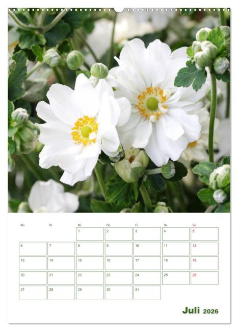 additionalImage11