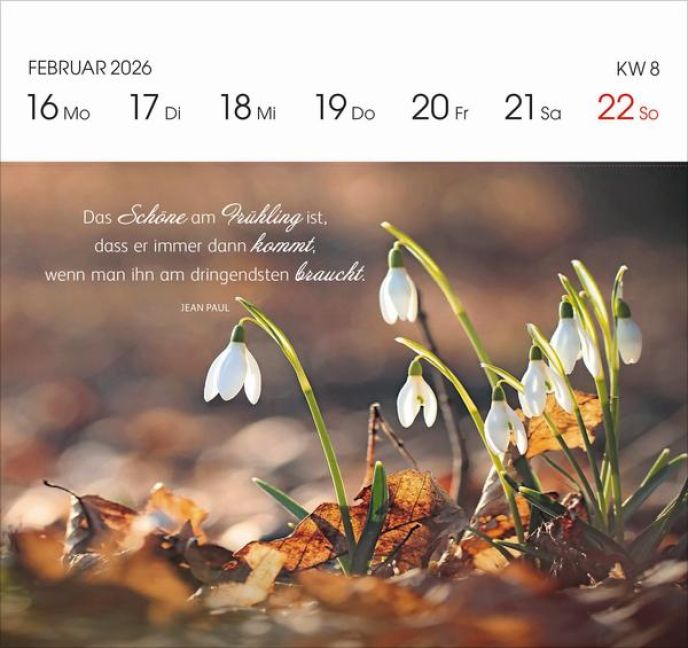 additionalImage8