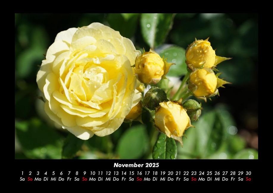 additionalImage3