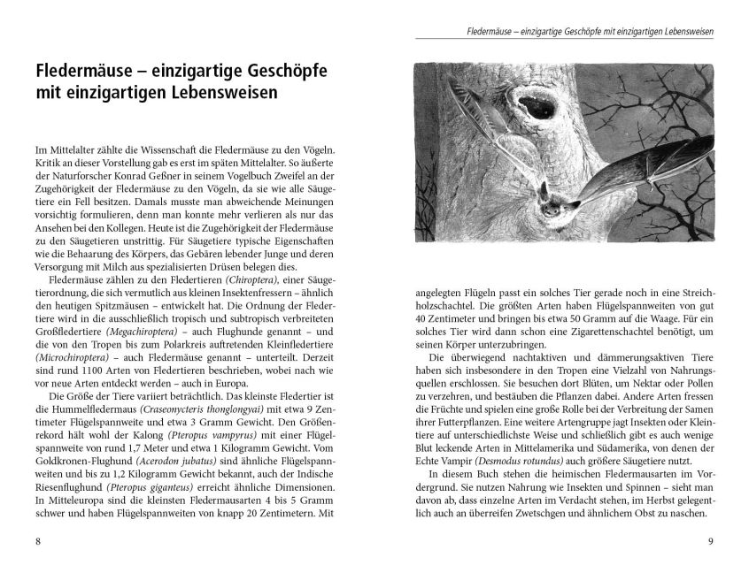 additionalImage1