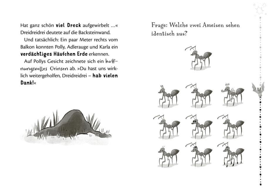 additionalImage2