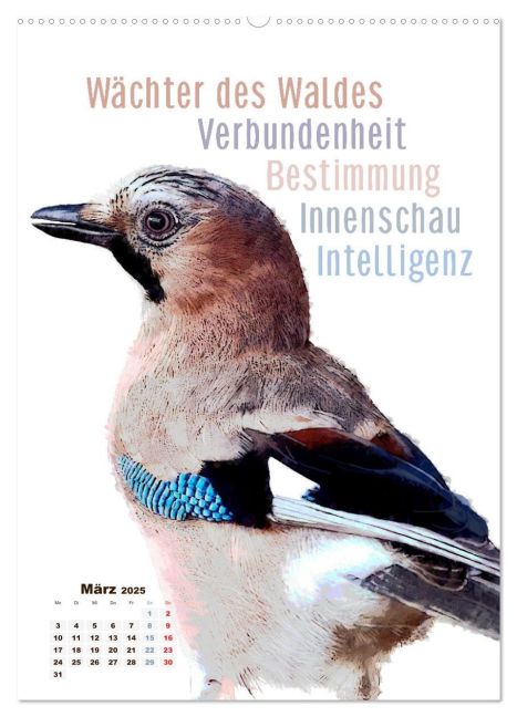 additionalImage7