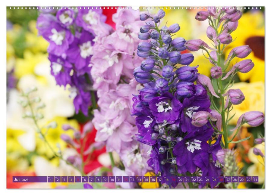 additionalImage12
