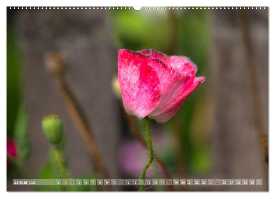 additionalImage5