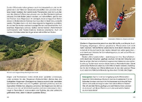 additionalImage4