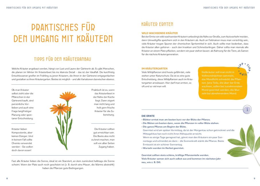 additionalImage12