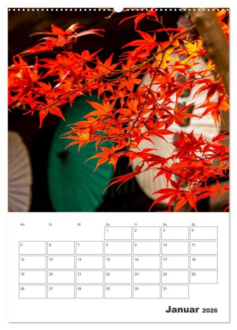 additionalImage6