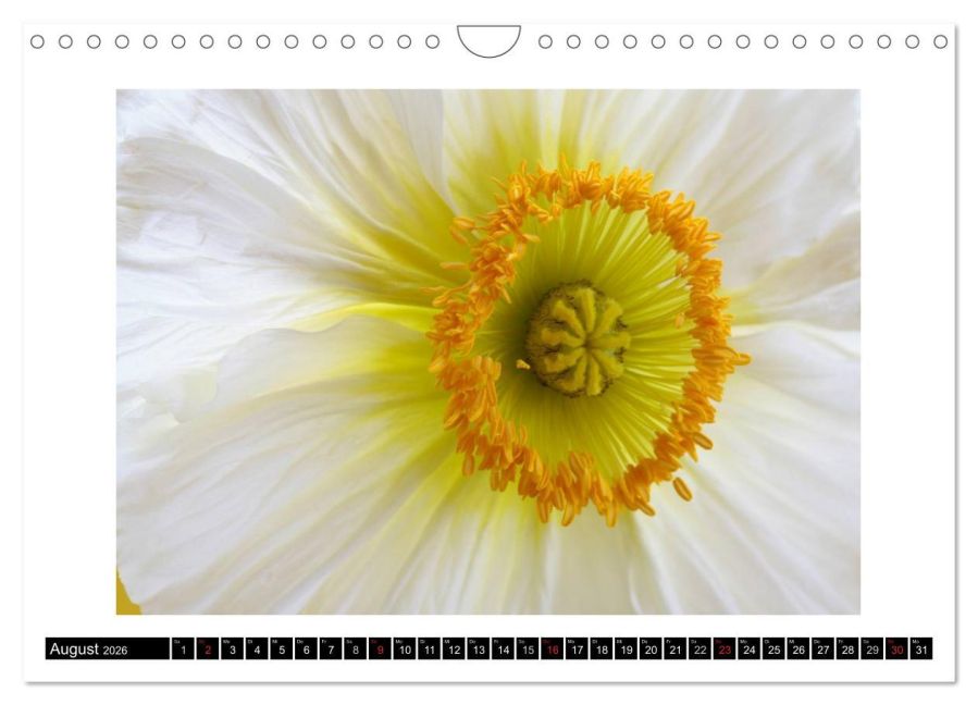 additionalImage13
