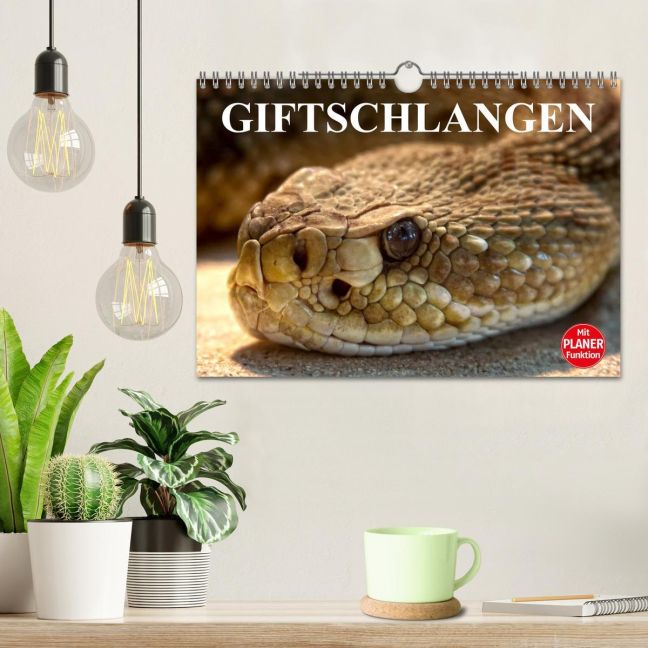additionalImage1