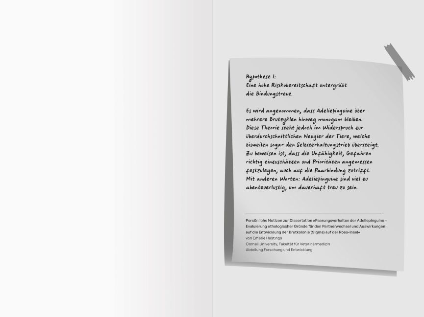 additionalImage1