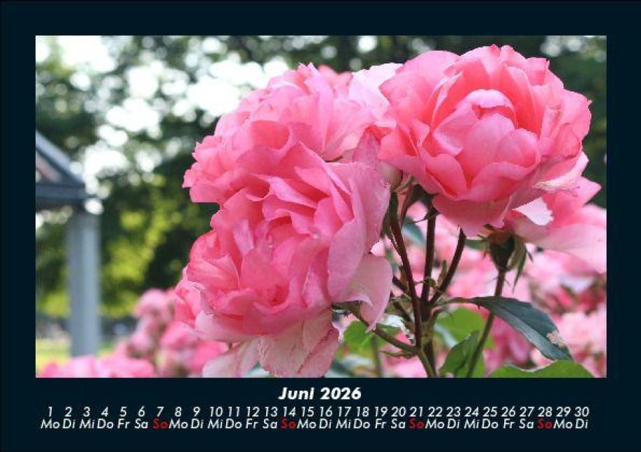 additionalImage10