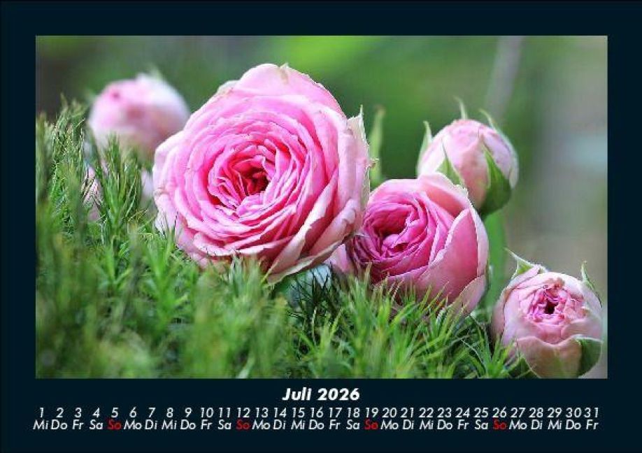 additionalImage11