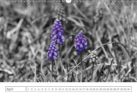 additionalImage4