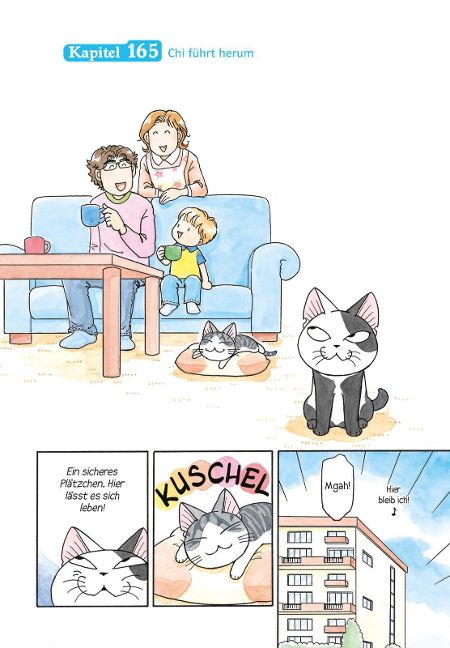additionalImage1