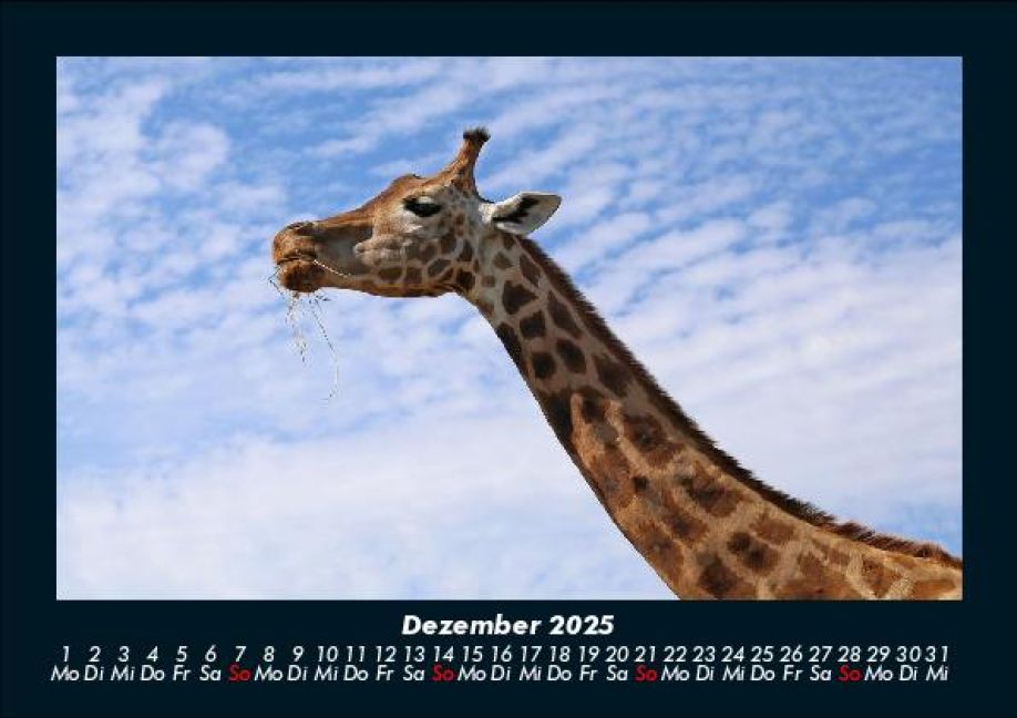additionalImage4