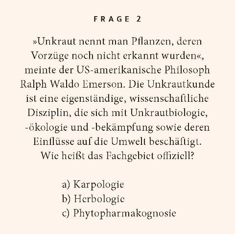 additionalImage3