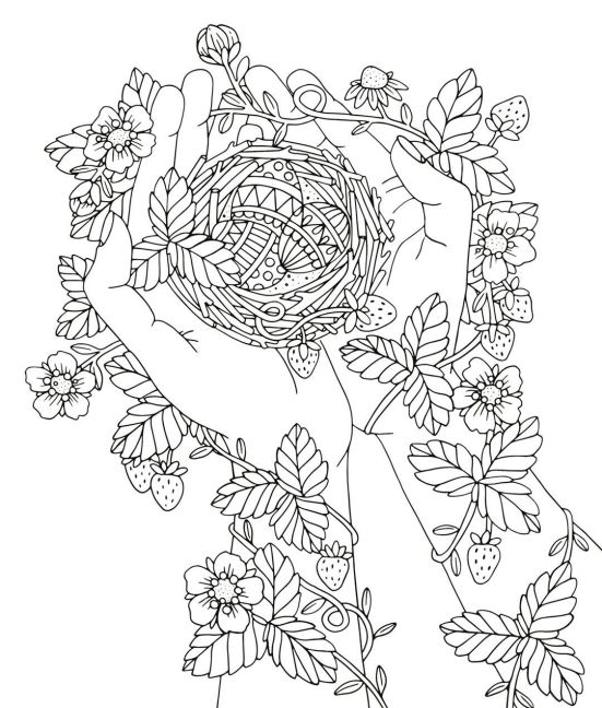 additionalImage5