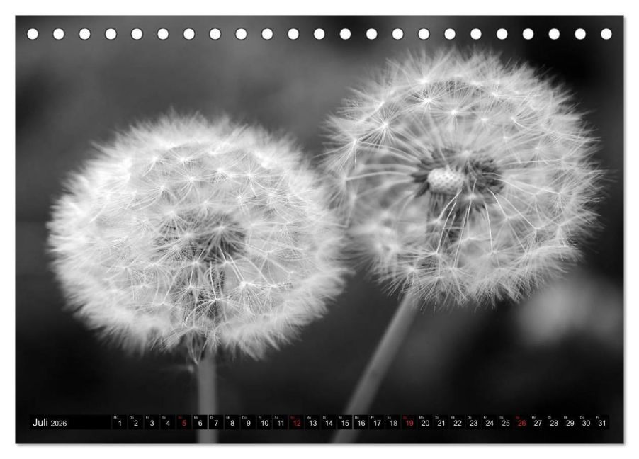 additionalImage12