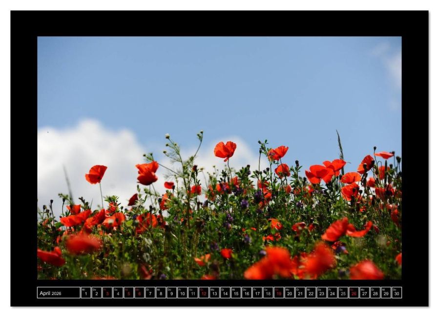 additionalImage9
