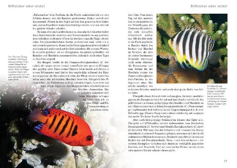 additionalImage2