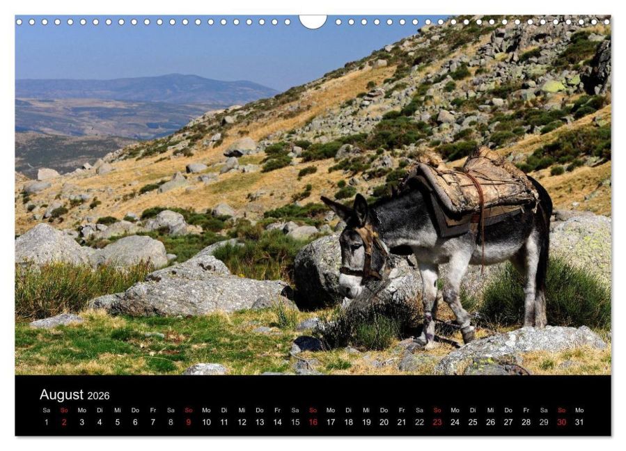 additionalImage13