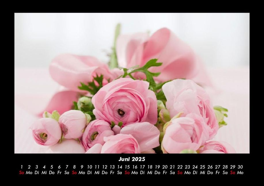 additionalImage10