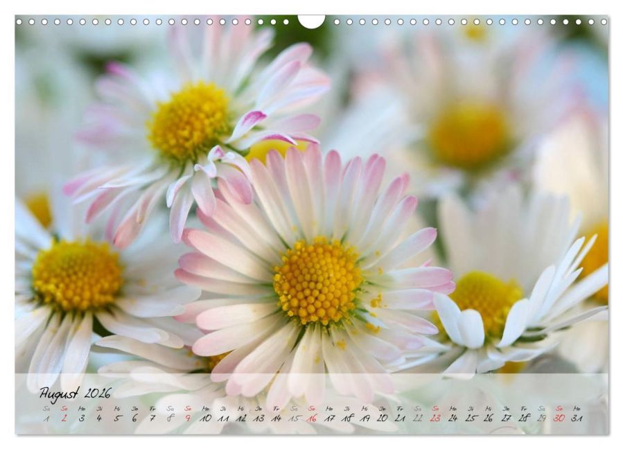 additionalImage13