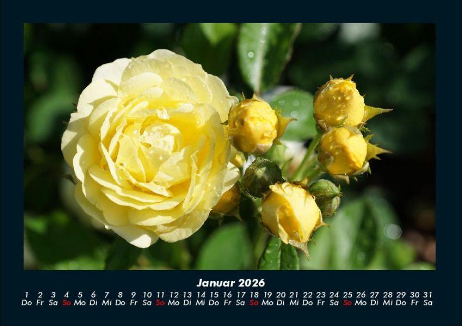 additionalImage5