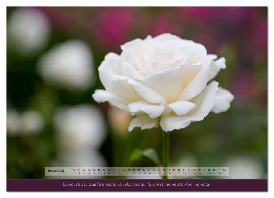 additionalImage6