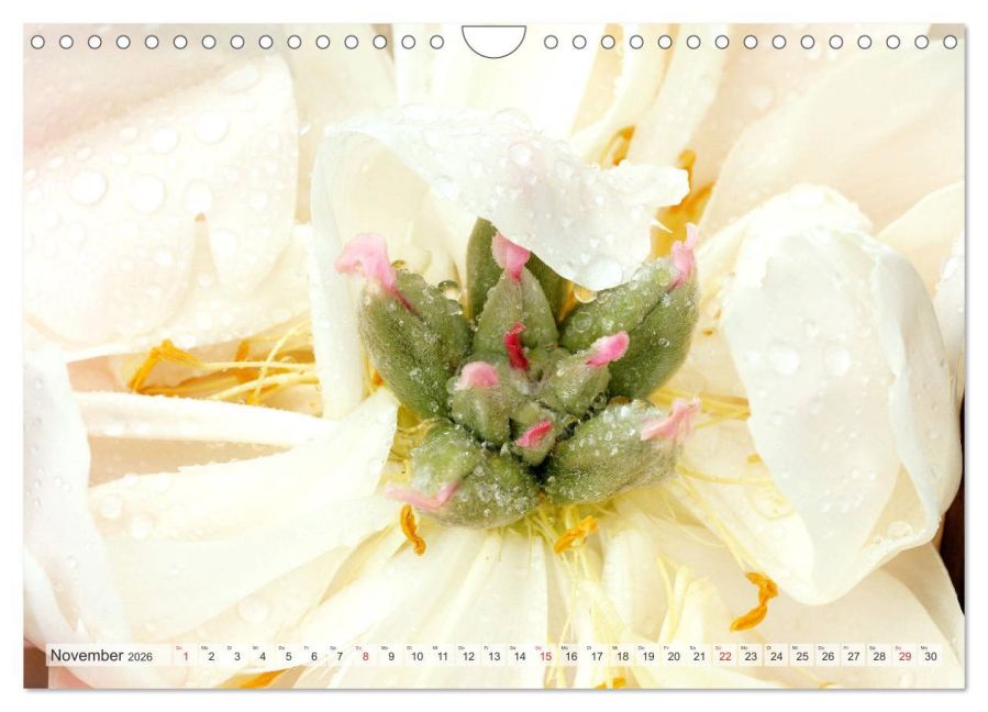 additionalImage3