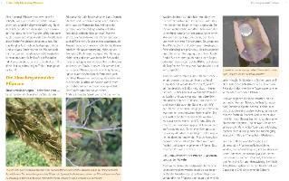 additionalImage2