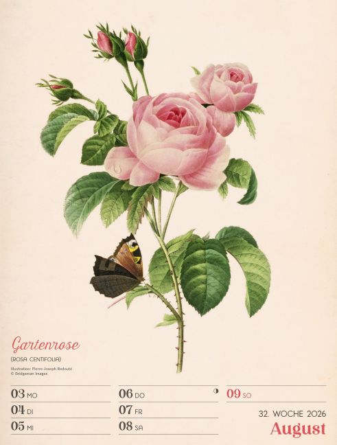 additionalImage35