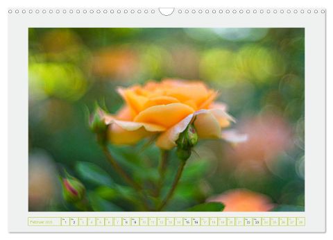 additionalImage7