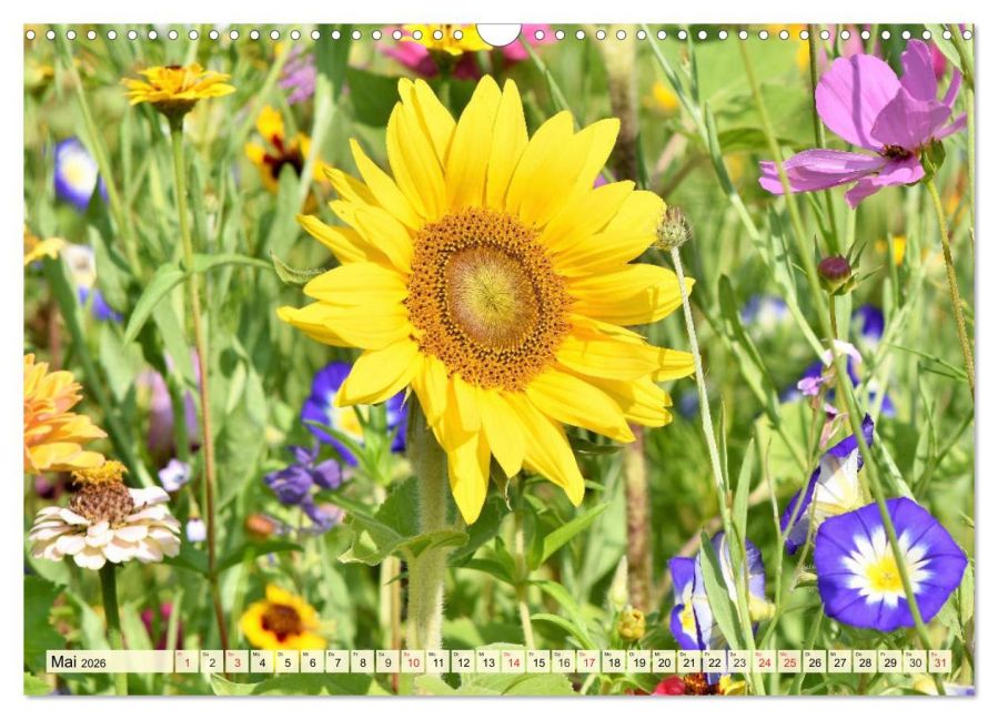 additionalImage10