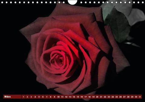 additionalImage3