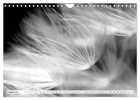 additionalImage13