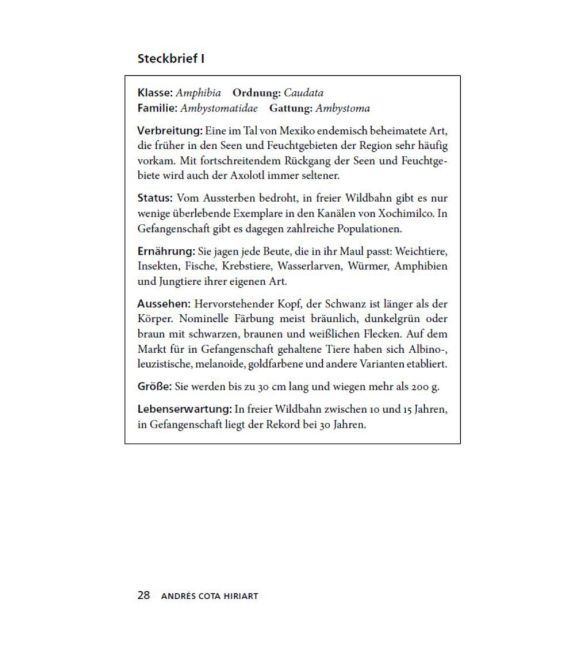 additionalImage5