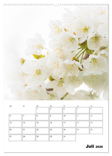 additionalImage12