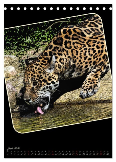 additionalImage11