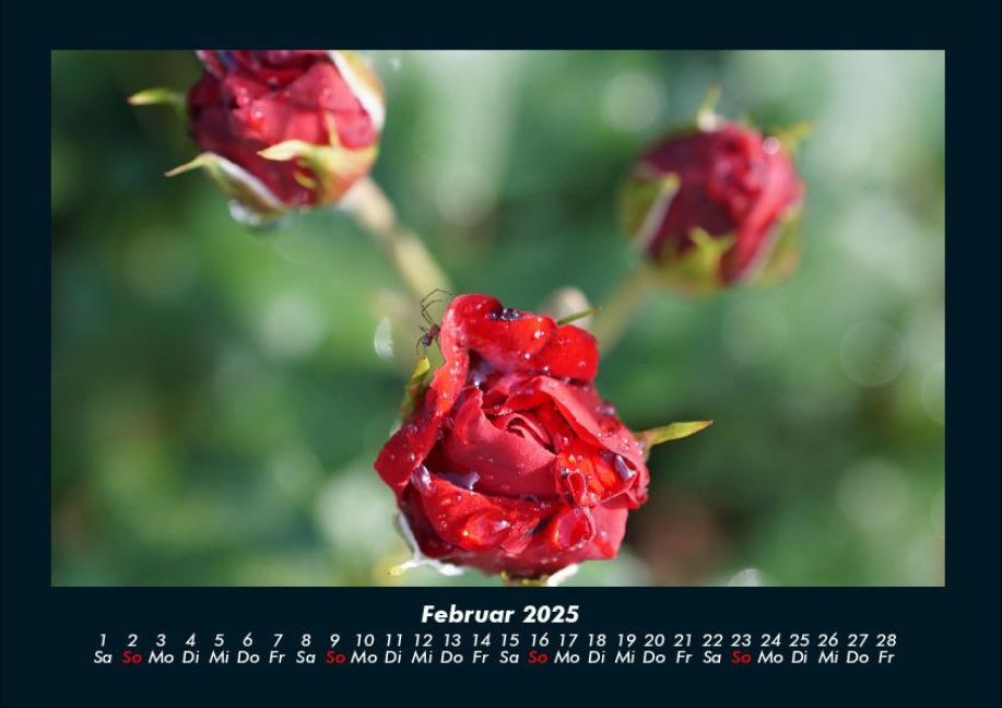 additionalImage6
