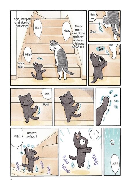 additionalImage6