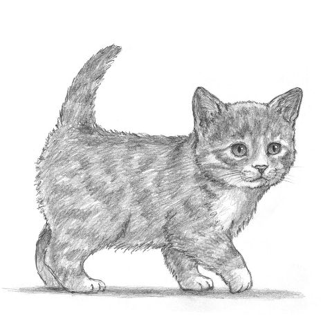 additionalImage4
