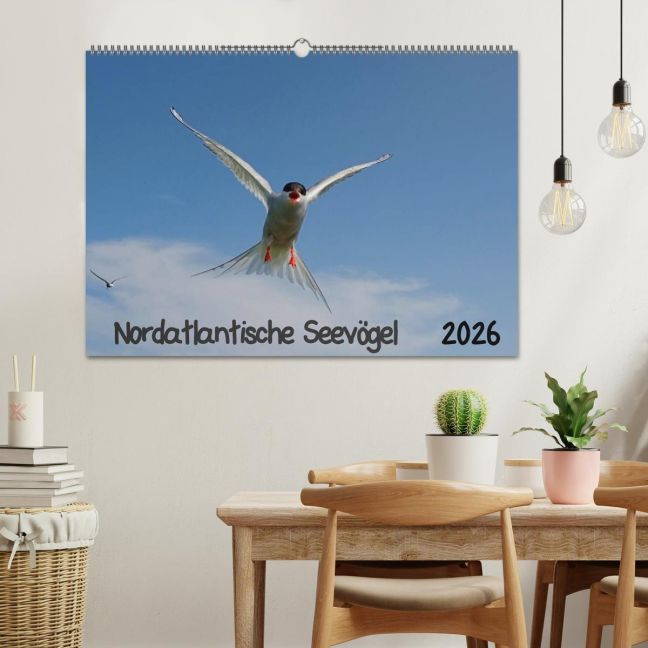 additionalImage1