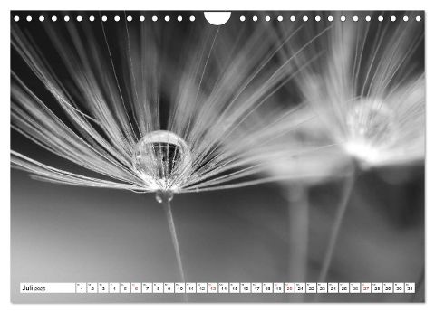 additionalImage12