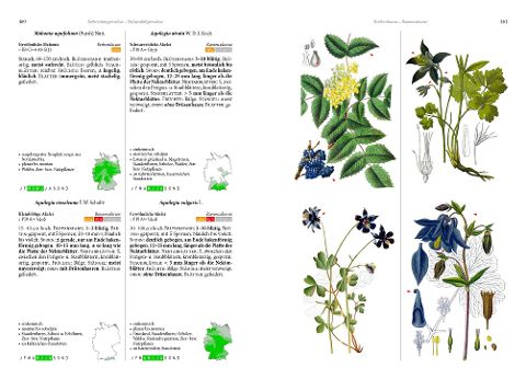 additionalImage3