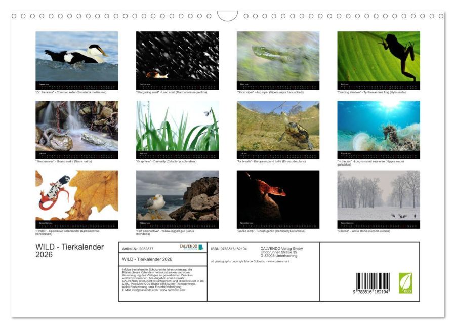 additionalImage5