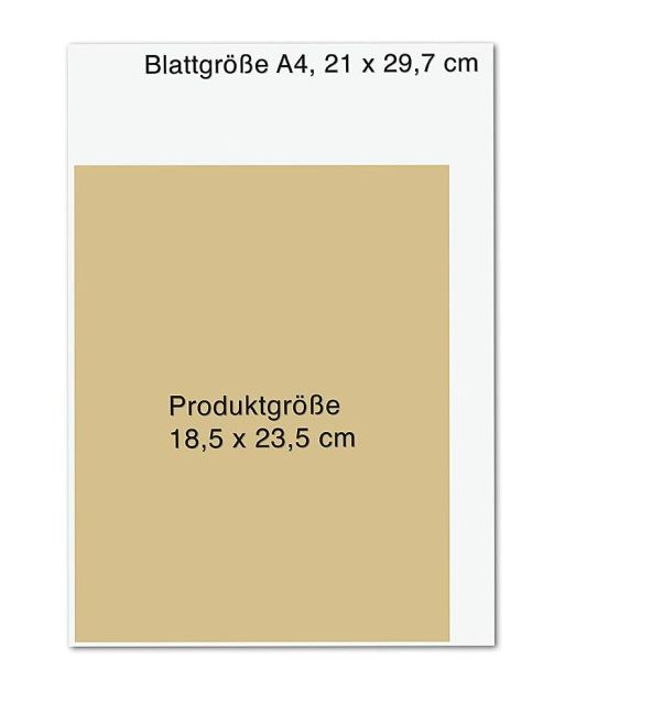additionalImage8