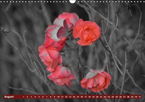 additionalImage8