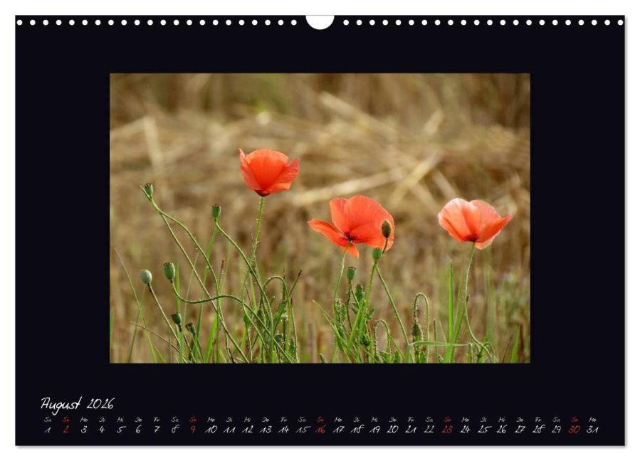 additionalImage13